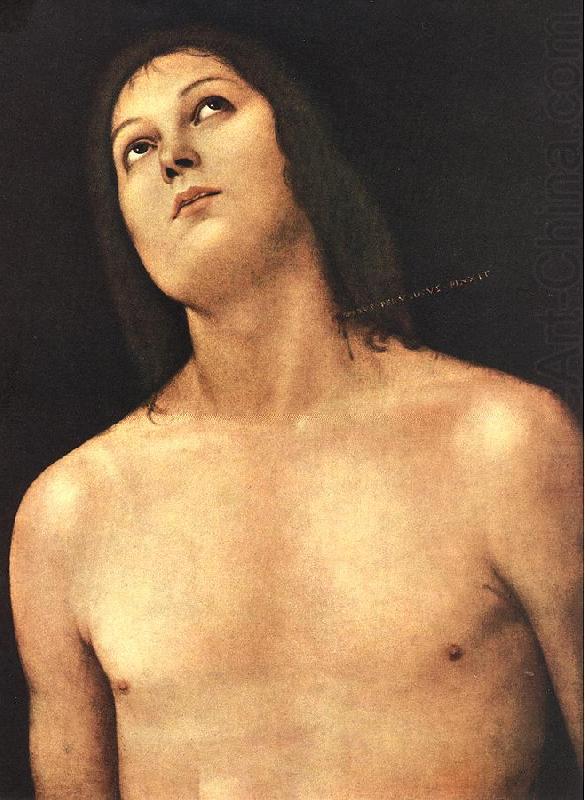 PERUGINO, Pietro Bust of St. Sebastian sg china oil painting image